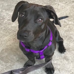 Meet your Posher, Jamie